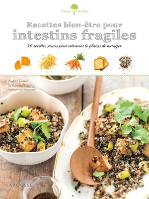 cover image of Recettes bien-être pour intestins fragiles